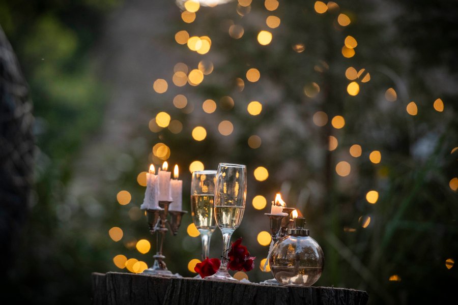 Hébergement AbracadaRoom : ForRest Stone - Image 25