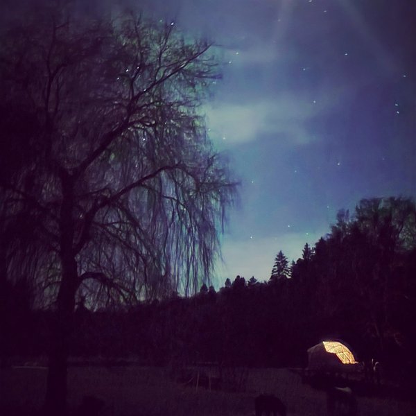 Hébergement AbracadaRoom : Grande ourse - Image 6