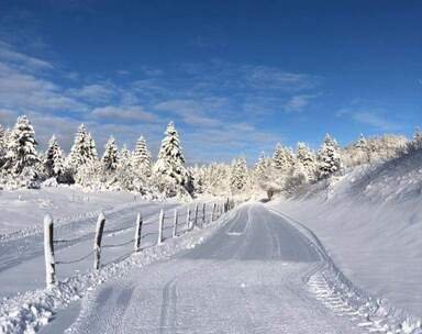 Domaine AbracadaRoom : Les Logettes de Caroline - Image 80
