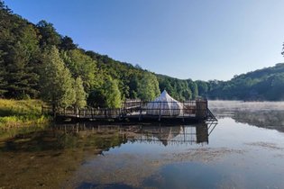 Lotus flottant Spa - Libellule