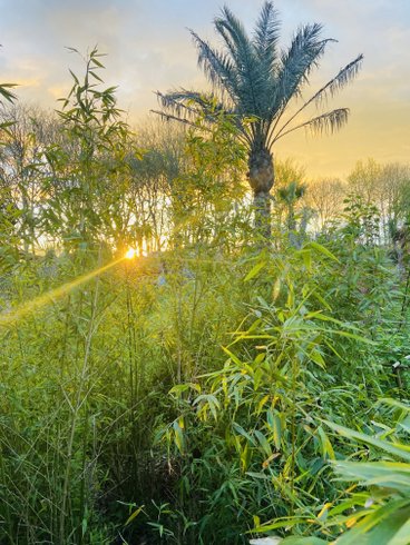 Domaine AbracadaRoom : Jardin Zen du Quistillic - Image 13