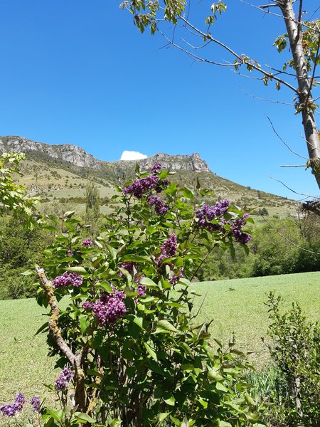 Domaine AbracadaRoom : Camping la Cascade - Image 3