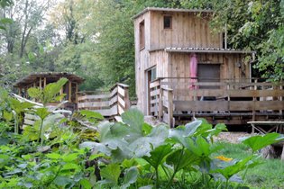 La Cabane en Champagne