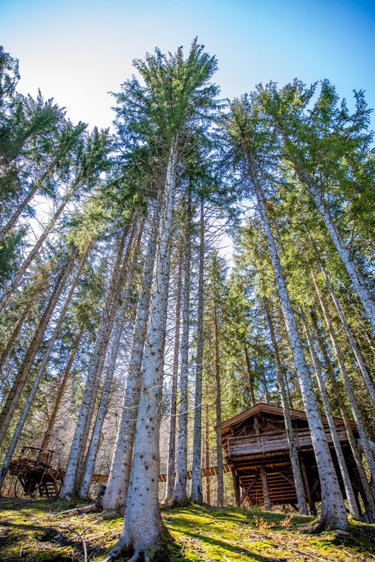 Cabane Spa du Ruisseau à Saint Nicolas La Chapelle (3)