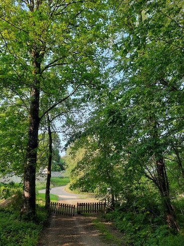 Domaine AbracadaRoom : Cabane de l'Augis nature - Image 15