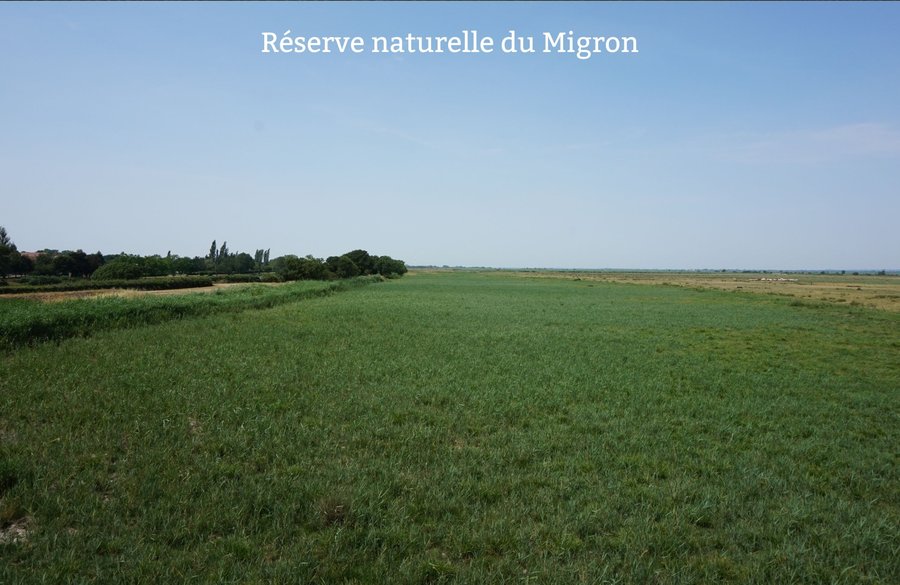 Domaine AbracadaRoom : Terre d'estuaire à Saint Viaud - Image 3