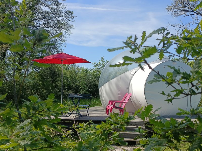 Domaine AbracadaRoom : Pré en bulles - Image 5