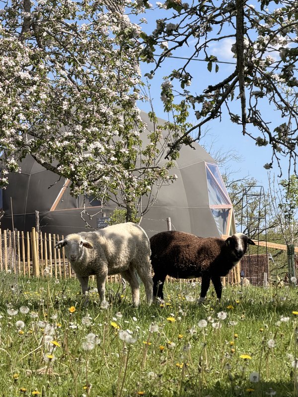 Le dôme avec spa privatif et vue sur les Pyrénées à Asson (6)