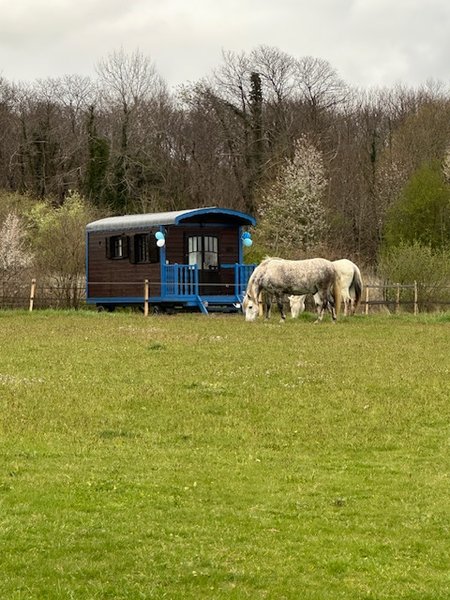 Domaine AbracadaRoom : Les roulottes des amis de Wonky - Image 8