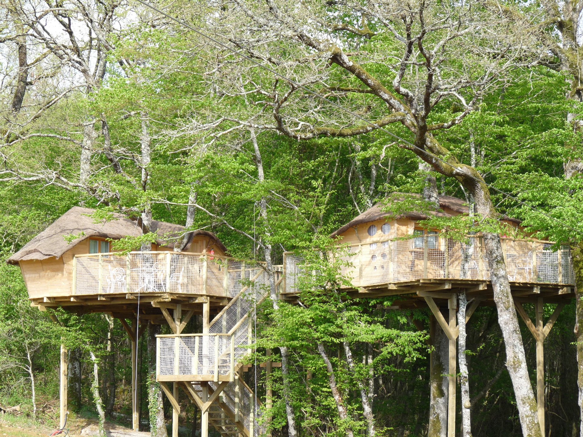 Cabane dans les Arbres - 4 personnes