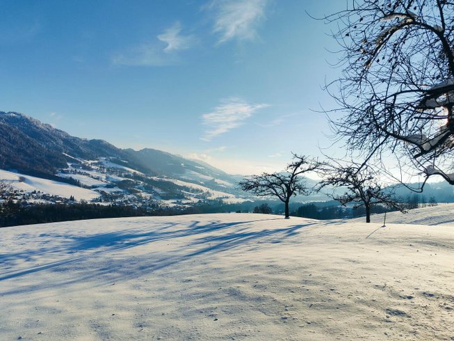 Domaine AbracadaRoom : Refuge insolite avec vue panoramique - Image 1