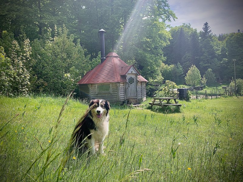 Hébergement AbracadaRoom : Kota 4 Zima - Séjour inoubliable auprès de huskies - Image 5