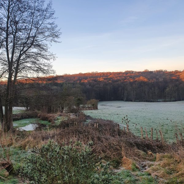 Hébergement AbracadaRoom : Tiny House Morvan, en pleine nature à  2h de Paris - Image 14