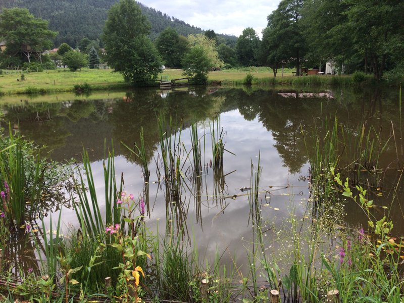 Hébergement AbracadaRoom : Kota chambre des Cambuses & Bain nordique - Image 27
