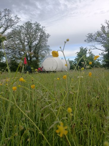 Domaine AbracadaRoom : Pré en bulles - Image 8