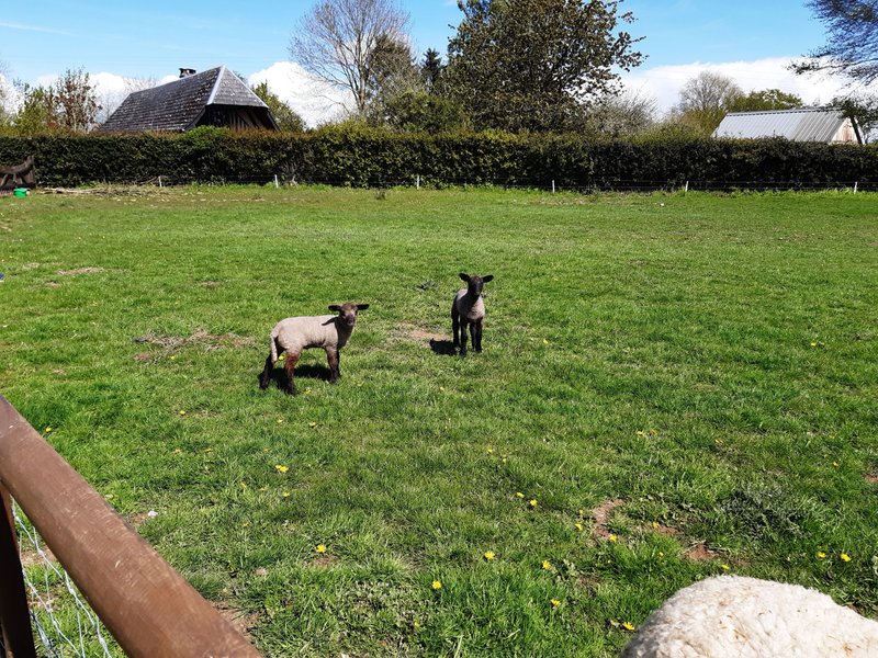 Domaine AbracadaRoom : L'insolit Ô Verger - Image 1