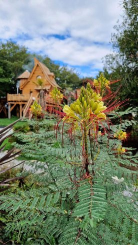 Hébergement AbracadaRoom : Le Repaire du dragon, château féérique avec SPA - Image 30