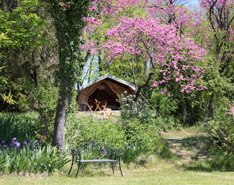 Domaine AbracadaRoom : Les Toiles de La Tortillère - Image 16
