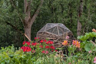 Bird House : Sphère Vitrée suspendue dans les Arbres
