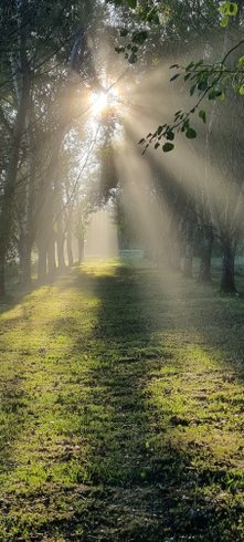 Domaine AbracadaRoom : Gite La Petite Clavelie - Image 6