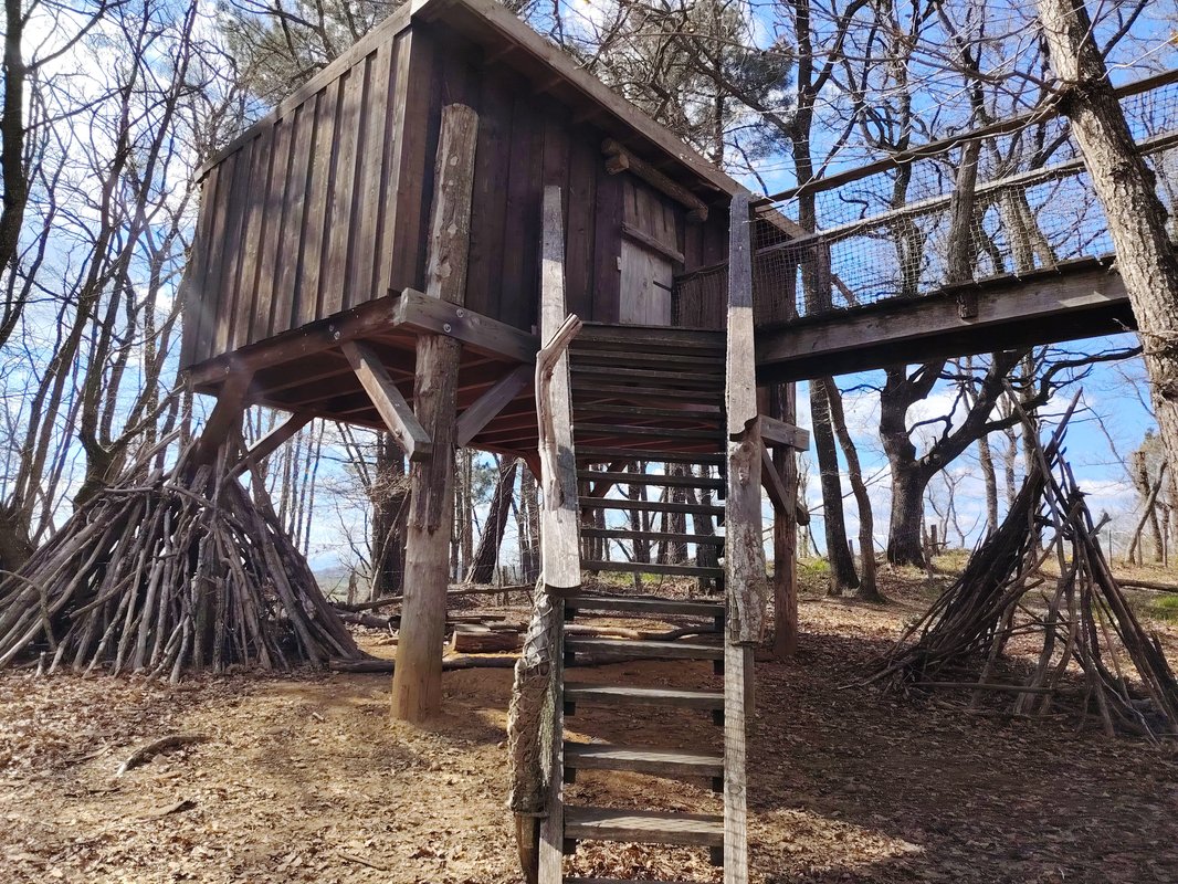 Cabane Piste aux Étoiles – nuit insolite sous toit vitré, jusqu’à 6 personnes, Drôme à Saint-Donat-Sur-L'herbasse (11)