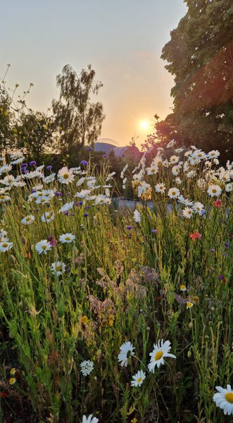 Domaine AbracadaRoom : Ecolieu B & Bubble Drincham - Image 2