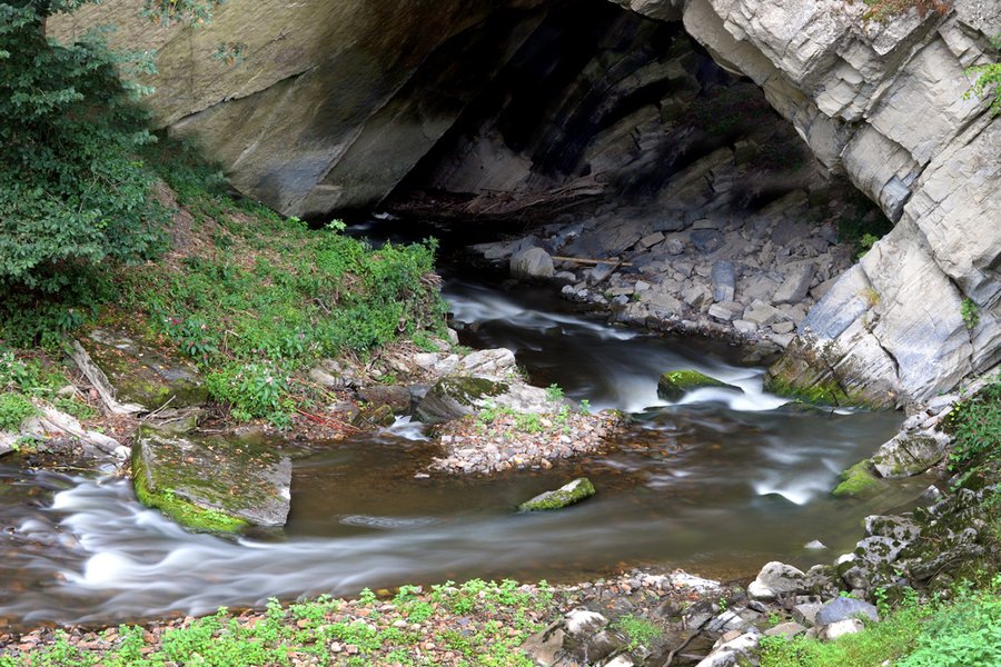 Domaine AbracadaRoom : Domaine des Grottes de Han - Image 5