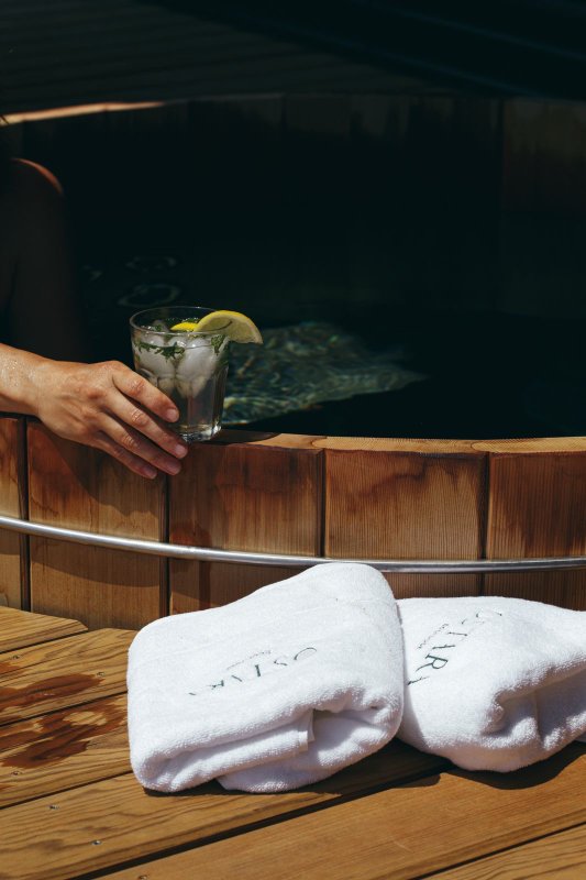 Hestia : Ecolodge de luxe avec bain nordique pour 2-10 personnes à Saint-Mards-En-Othe (36)