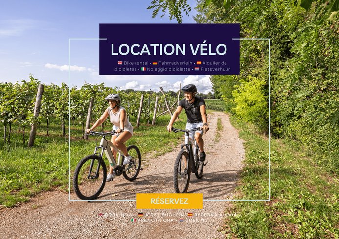 Hébergement AbracadaRoom : Houseboat Camargue - Canal du Rhône - Image 12