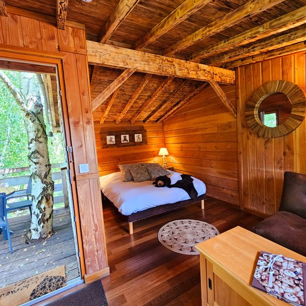 Hébergement AbracadaRoom : L'Ours Brun - Image 1