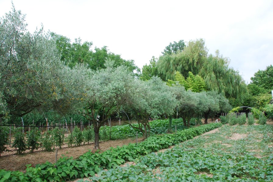 Hébergement AbracadaRoom : Le Tonneau du Nid'Oiselet - au coeur d'une ferme en Provence - Image 27