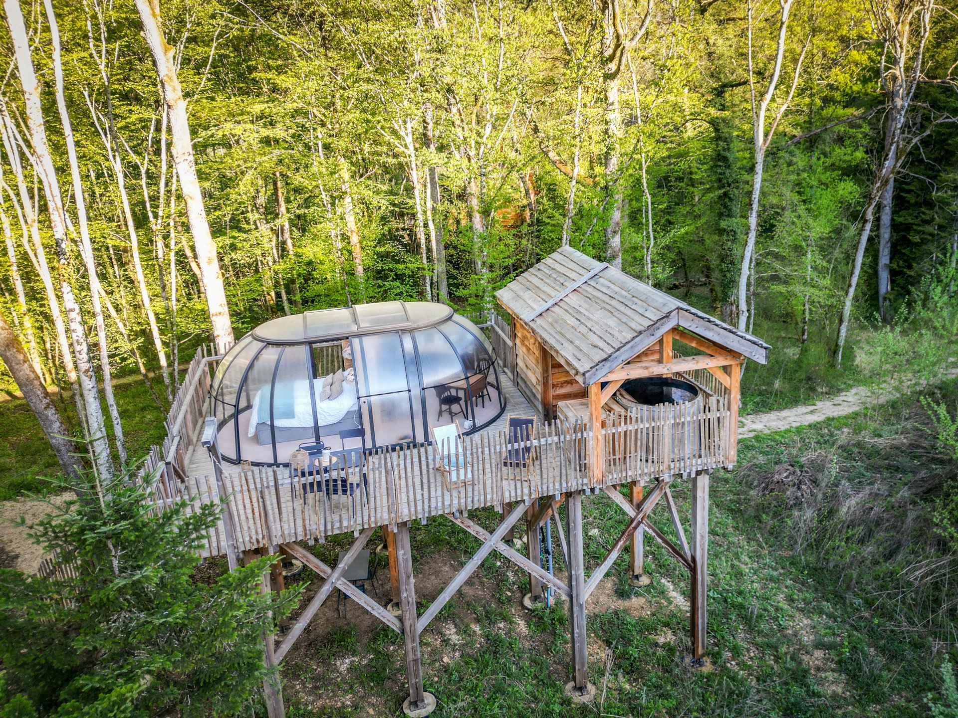 Grand dôme perché Spa - Geai des chênes