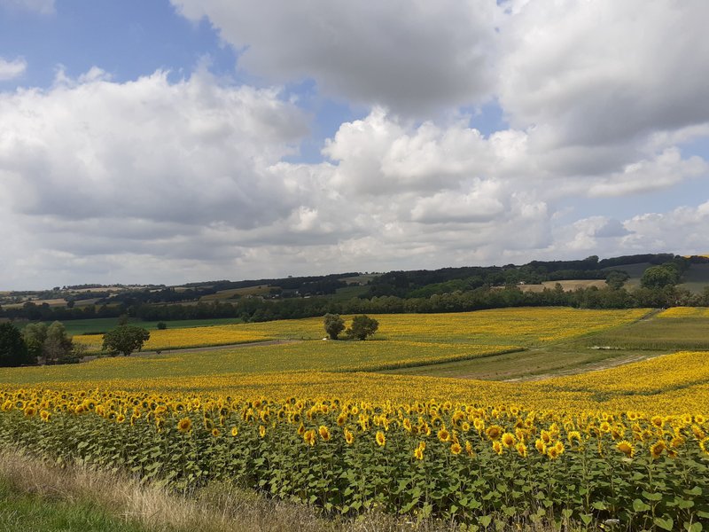 Domaine AbracadaRoom : A la douceur des chênes - Image 9