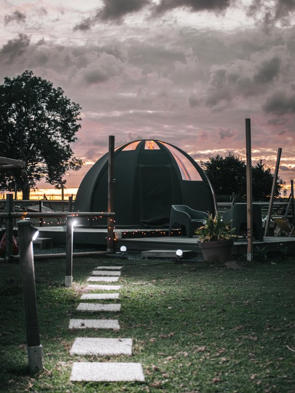 Les alpagas du clos à La Cerlangue (8)