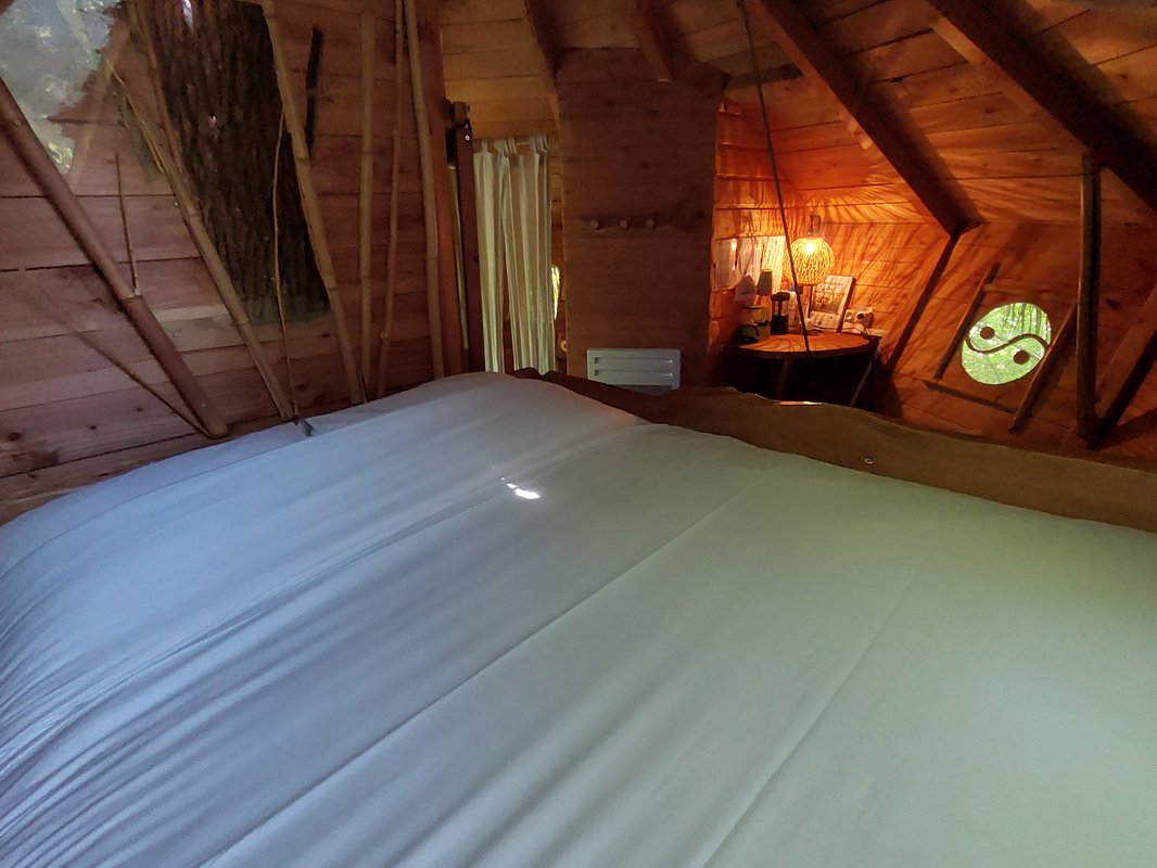 Cabane Zen perchée dans un arbre centenaire à Pons (8)