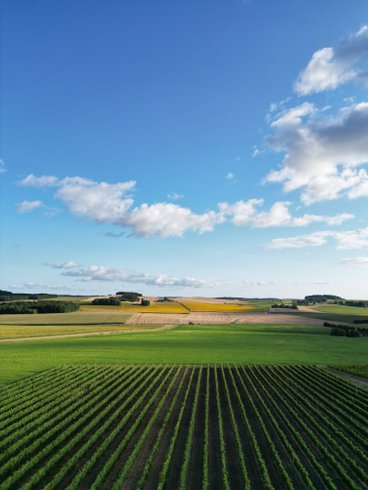 Domaine AbracadaRoom : Les Toiles du Cassis - Image 13