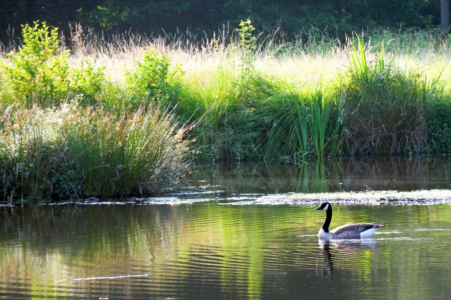 Domaine AbracadaRoom : Airial des Monges - Image 16