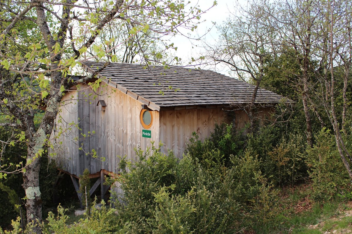 cabane la pinède