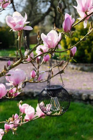 Domaine AbracadaRoom : Mesnil & Une Nuit - Image 16