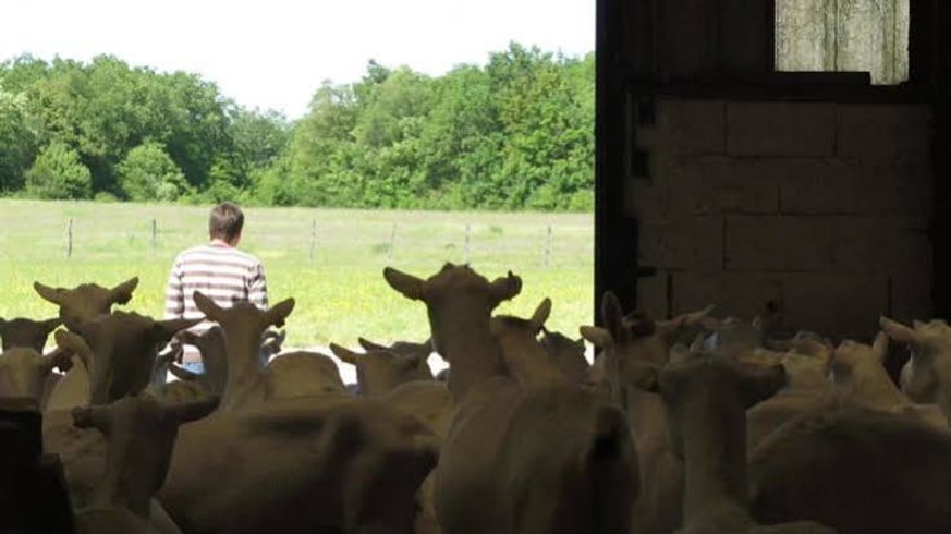 Domaine AbracadaRoom : Escales en Sologne - Image 14