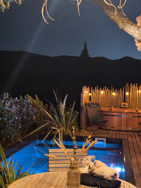 LODGE DES BARONNIES Piscine et spa à Plaisians (28)