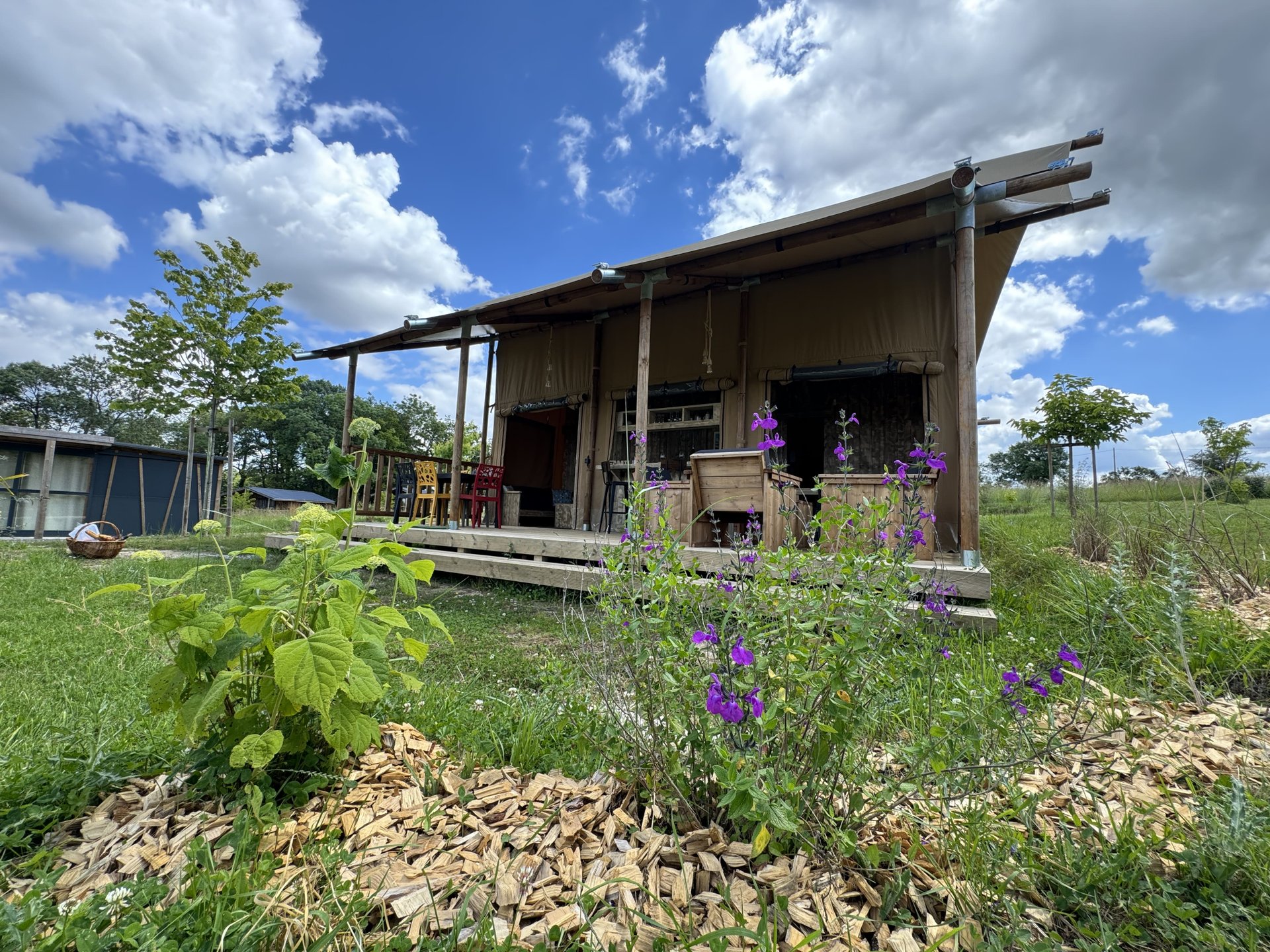 Tente Safari Lodge (34 m2 - 2 ch - 5 pers)