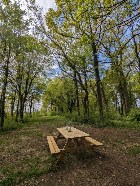 Domaine AbracadaRoom : Tiny House La Clairière - Image 7