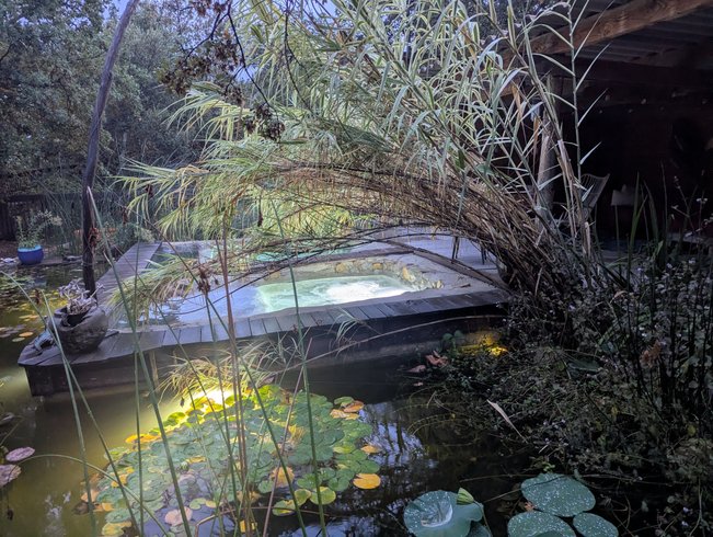 Hébergement AbracadaRoom : Cabane Libellule des îles, spa privatisable - Image 22