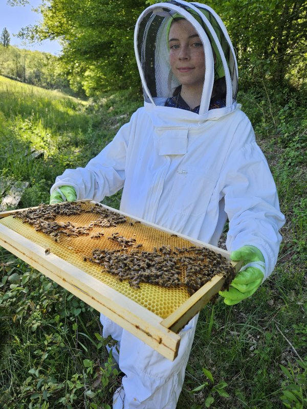 Eco Gite Nature -  13 personnes à Saint Genies (16)