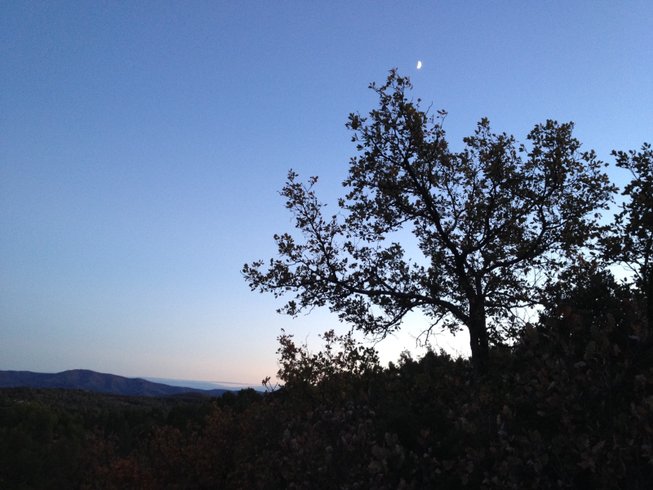 Domaine AbracadaRoom : La Cabane dans le Var - Image 1