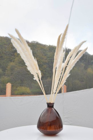 Hébergement AbracadaRoom : Bulle Ecureuil - Image 17