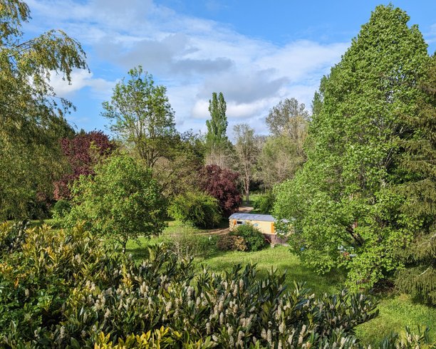 Domaine AbracadaRoom : Graines de nature - Image 1