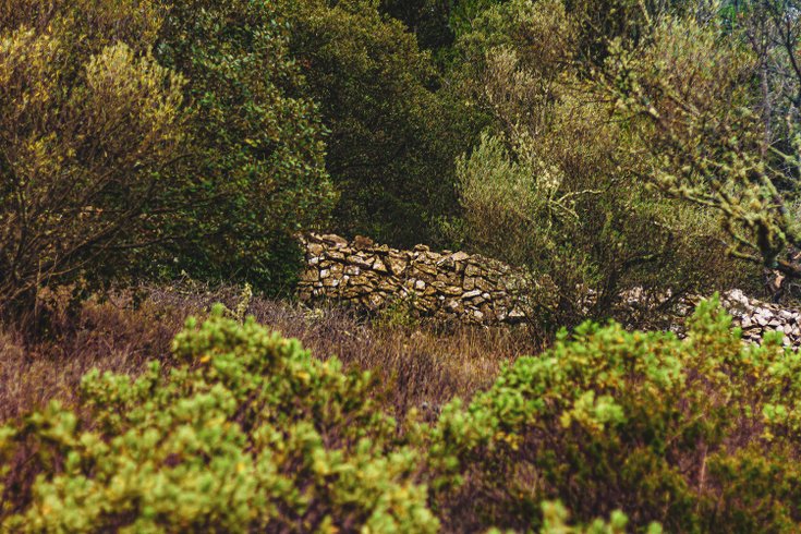 Domaine AbracadaRoom : Homnest (Correns) - Image 8