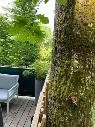 Domaine AbracadaRoom : Cabane Petit Bois - Image 3